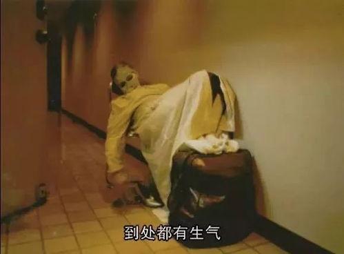 娼街在线观看 第3张 娼街在线观看 第3张